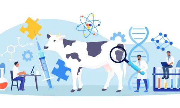 360_F_583166136_Id4bPgzmlWwlYKlrB2FXyYvgGggogm1M